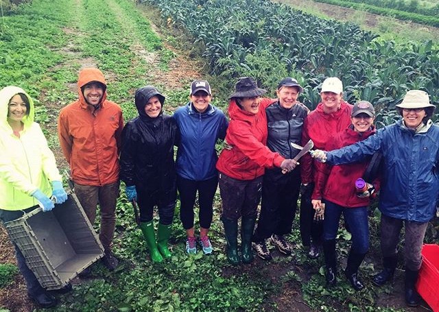 Gardener’s Supply: A Company as a Living System